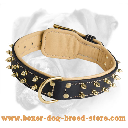 Fine leather hotsell dog collars