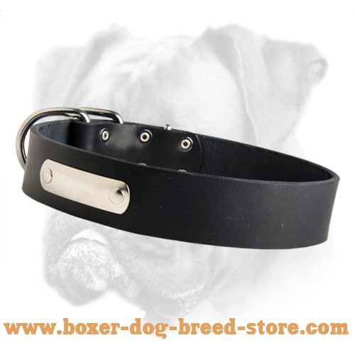 Simply Designed Leather Collar with Name Tag for Boxer Breed