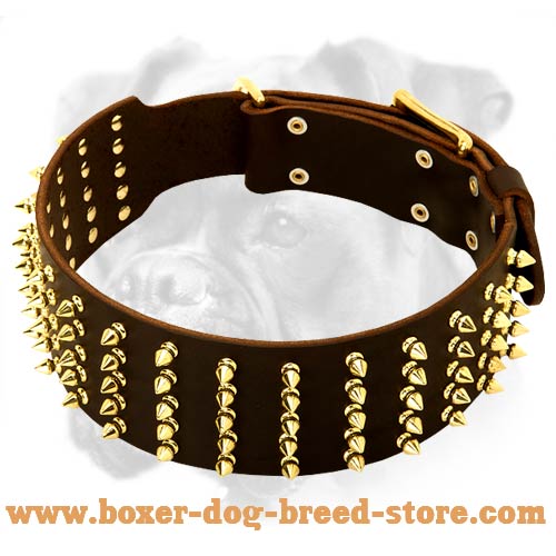 Spiked Leather Boxer Collar - Super Wide and Durable