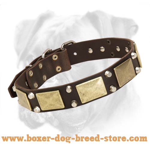 Leather Boxer Collar with Brass Plates and Nickel Pyramids