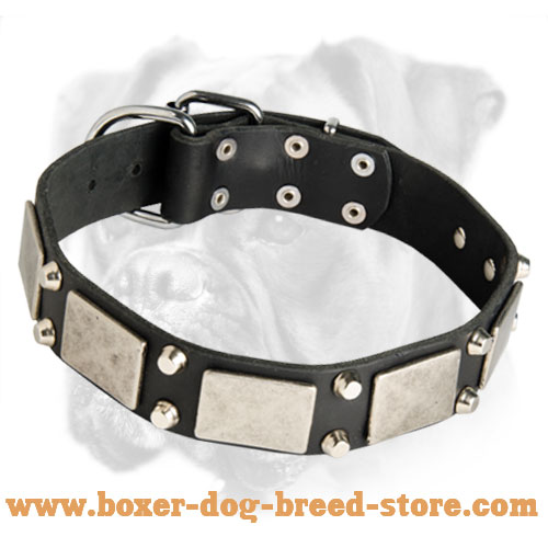 Stylish Leather Collar with Nickel Plates and Pyramids