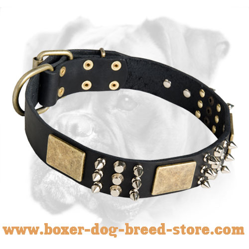 Unique Leather Boxer Collar with Charming Plates, Spikes and Pyramids