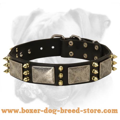 Gorgeous Leather Collar Fabulously Designed