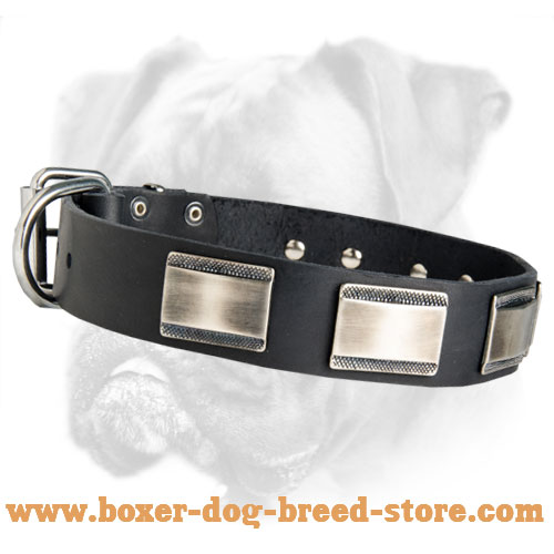 Stylish Boxer Collar Adorned with Massive Nickel Plates