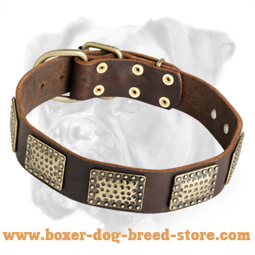 High Quality Leather Boxer Collar with Brass Plates