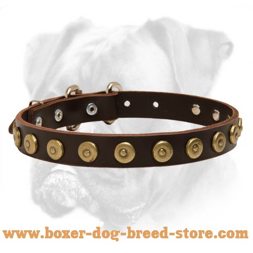 Tremendous Leather Boxer Collar with Brass Dotted Circles - Amazing Accessory for Every Dog