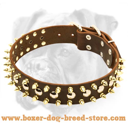 High Quality Leather Boxer Collar with Brass Spikes and Nickel Studs