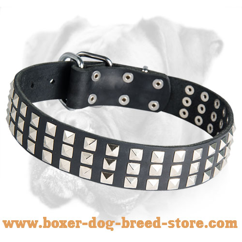 Royal Quality Leather Boxer Collar with Nickel Pyramids for Everyday Use