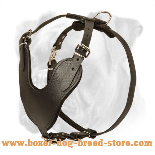 Amazing Leather Dog Harness for Easy, Safe and Comfortable Agitation/Attack Boxer Training