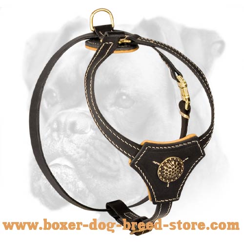 Tracking and Walking Royal Leather Harness for Boxer Puppy