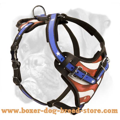 Hand Painted Leather Boxer Harness for Attack/Agitation Training
