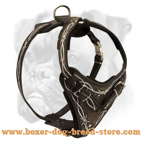 Barbed Wire Hand Painted Dog Harness for Boxer
