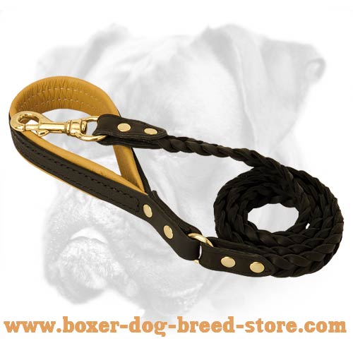 canine leashes and collars