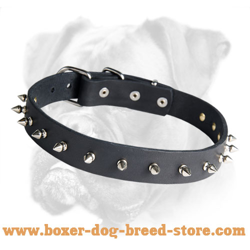 Elegant Leather Boxer Collar with Nickel Spikes
