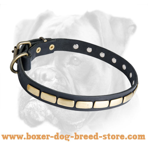 Leather Special Boxer Collar With Plates