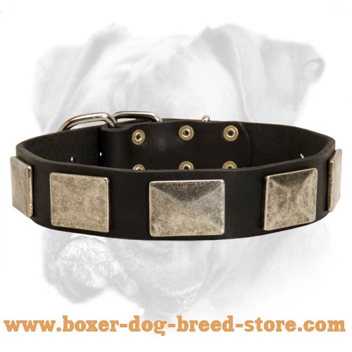 Handcrafted Leather Dog Collar With Vintage Massive Plates