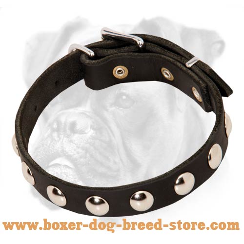 Exclusive Leather Boxer Collar with Nickel Studs