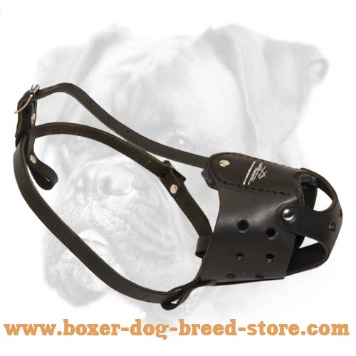 Safe Latigo Muzzle for Boxer