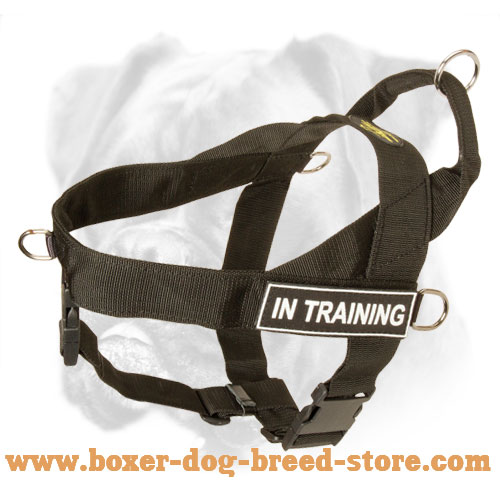 Any Activity and Any Weather Light Weight Boxer Harness with ID Patches