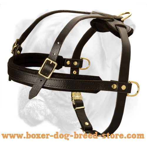 Marvelous Pulling/Tracking/Walking Harness for Active Boxer