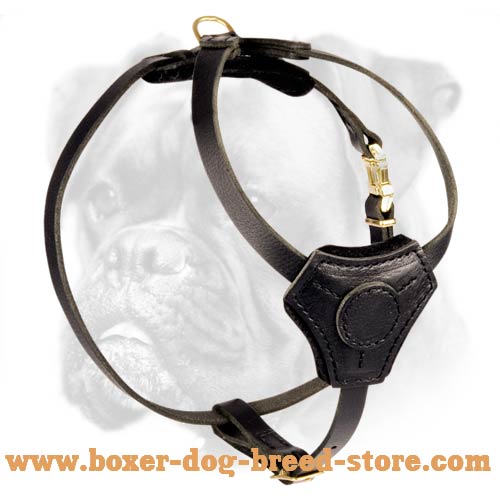 Special Leather Decorative Harness for Boxer Puppy