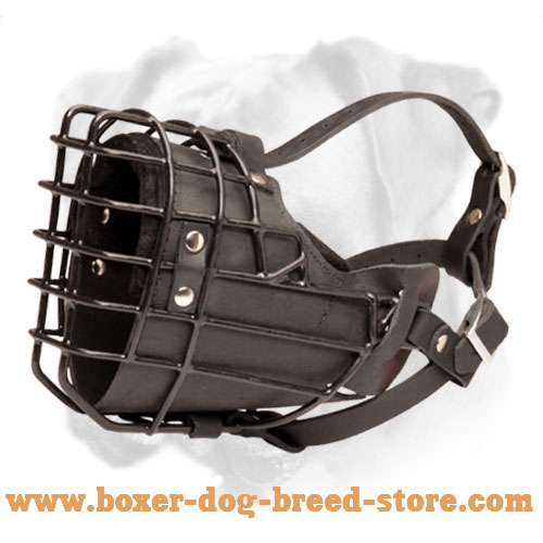 New Boxer Wire Muzzle with Black Rubber Cover