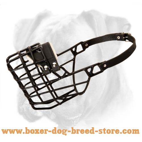 Wire Dog Muzzle with Winter Coating for Boxer
