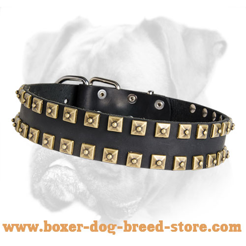 Leather Boxer Collar with "Caterpillar" 2 Rows Brass Studs