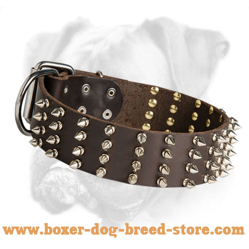 Spiked 2 Inch Wide Leather Boxer Collar