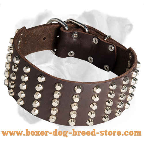 Boxer Leather Collar with 5 Rows of Nickel Pyramids