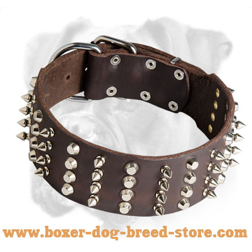 Super Wide Leather Boxer Collar with Nickel Decorations
