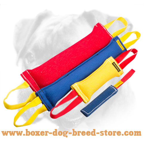 French Linen Boxer Training Set