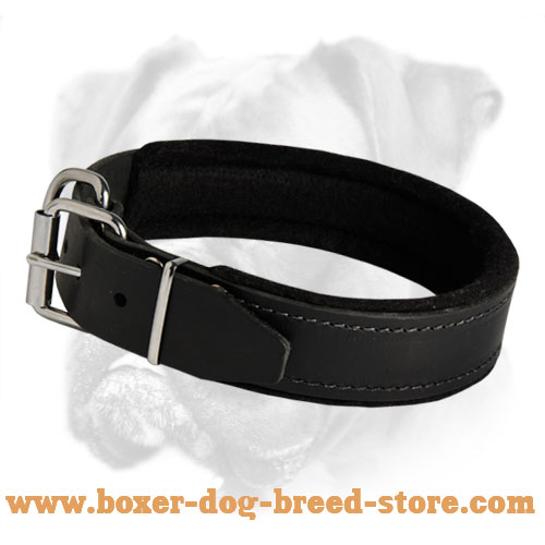 Padded Leather Dog Collar with Thick Felt - C24