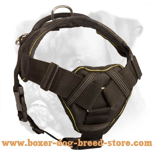 Any Weather Boxer Harness with Comfortable Chest Plate