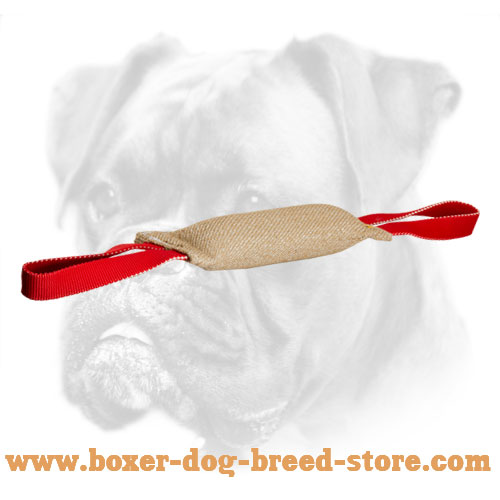 Dog safe jute bite tug for Training Boxer