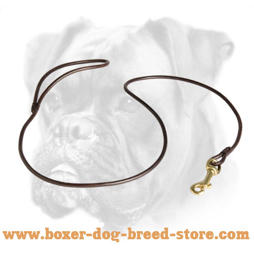 Show Round Leather Dog Leash for Boxer