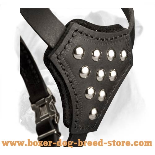 Leather Puppy Harness with Spiked Delicate Chest for Boxer