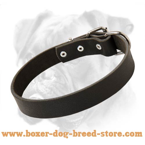 Daily Leather Collar for Boxer - Comfort and Practicality