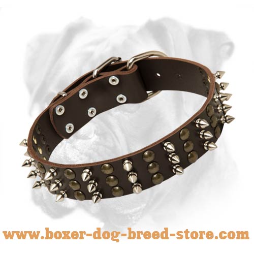 Truly Boxer Dog Leather Collar Decorated with Spikes and Studs