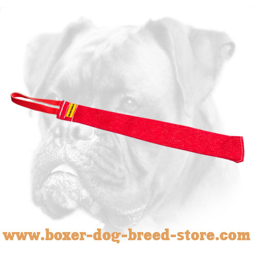 Boxer Puppy Bite Rag for Training Bite Grip