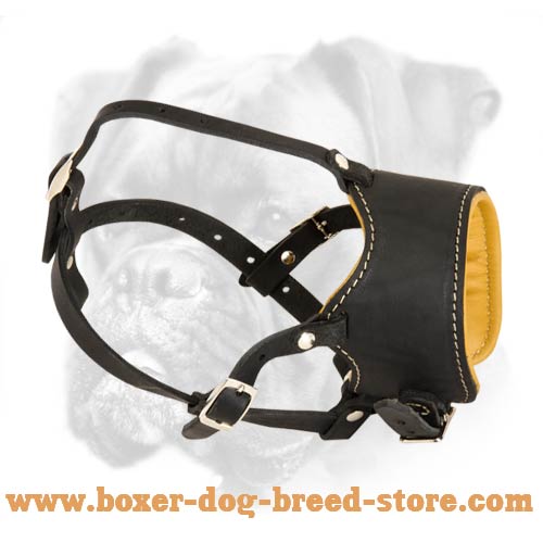 Classic Nappa Padded Leather Muzzle for Boxer
