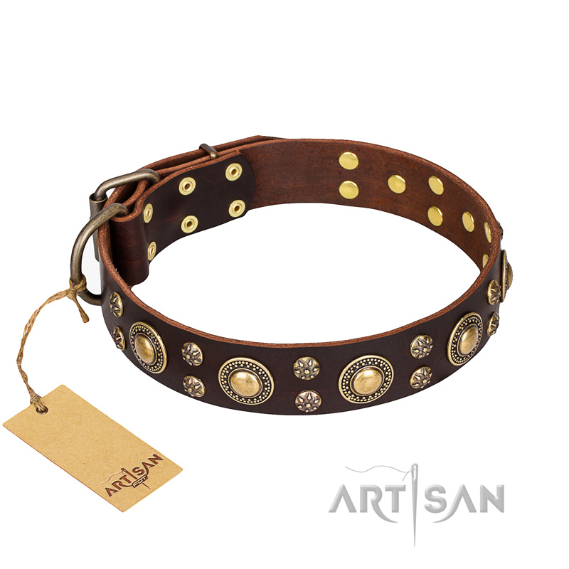 'Flower Melody' Boxer FDT Artisan Brown Leather Collar with Mixed Studs
