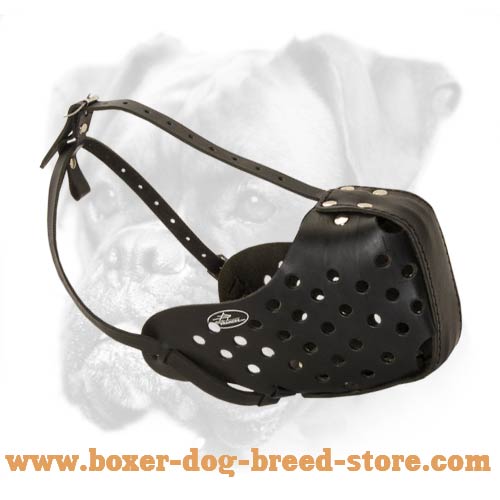 Agitation/Attack Training Muzzle for Boxer Breed