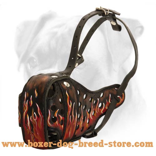 Awesome Leather Boxer Muzzle with Handpainted Flames