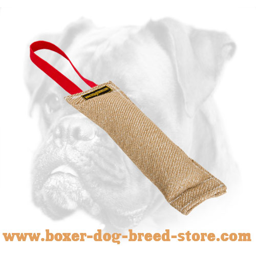 Boxer Durable Jute Bite Tug