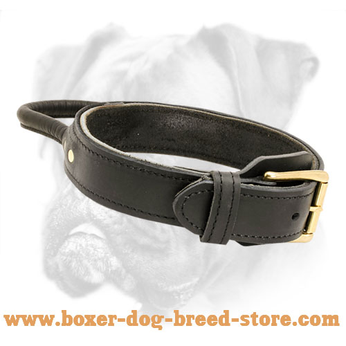 2 Ply Leather Agitation Boxer Collar with Handle
