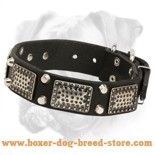 Leather Boxer Collar with Nickel Plates and Pyramids for Everyday Use