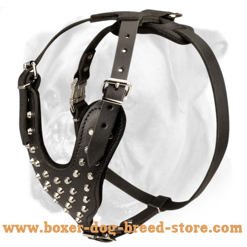 Unbelievably Stylish and Comfortable Leather Harness for Active Boxer