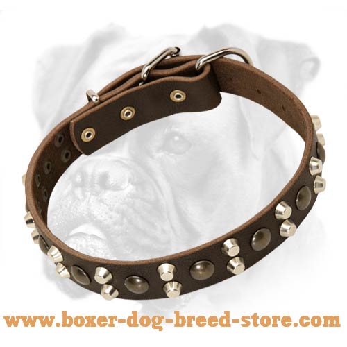 Gorgeous Leather Collar with Pyramids and Studs for Training and Walking Your Boxer