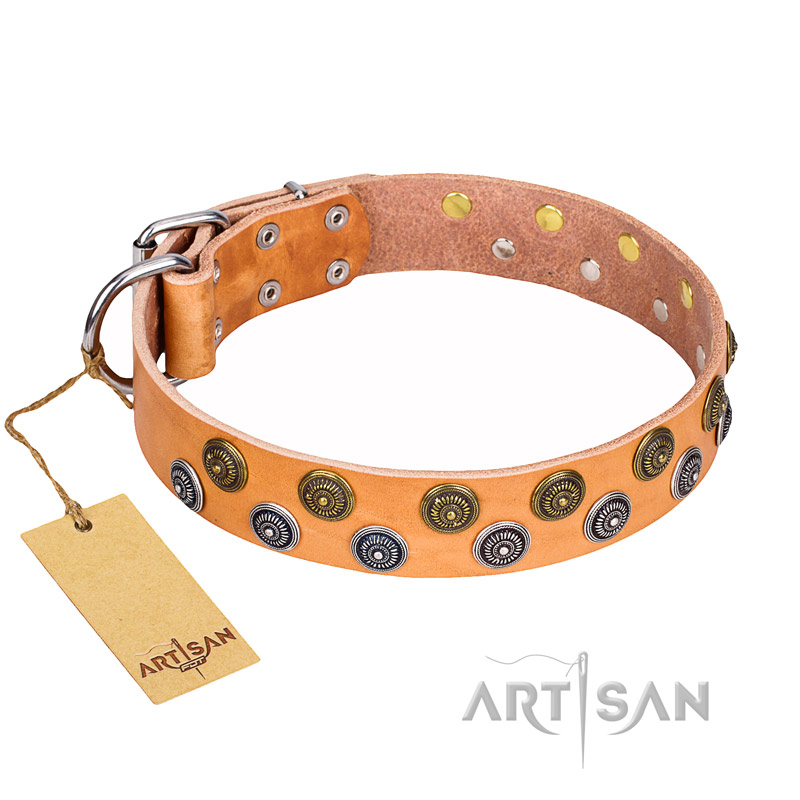 "Precious Sparkle" FDT Artisan Tan Leather Boxer Collar - 1 1/2 inch (40 mm) Wide